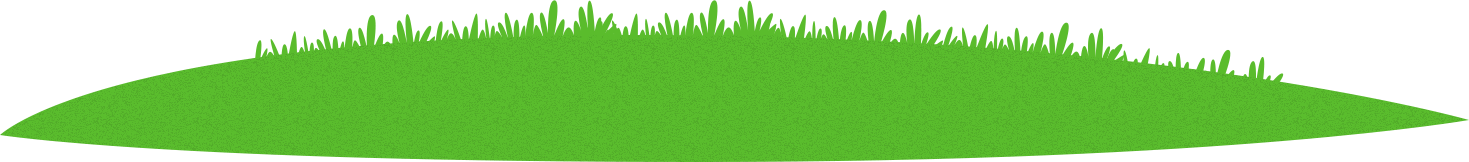 grass1
